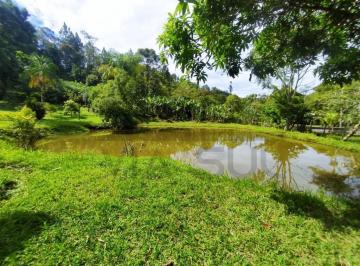 Foto 48 · Chácara à venda em Juquitiba, Chácara em Juquitiba