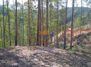c49n27a2ntu1mzm5ztg4yze2_md · Sítio no alto com 20.000 metros e internet fibra Venda - Águas Mornas - 20000m²