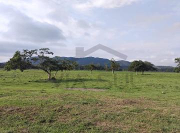 Foto 01 · Fazenda à venda em Juquiá; Fazenda em Juquiá/SP; Fazenda em Juquia;