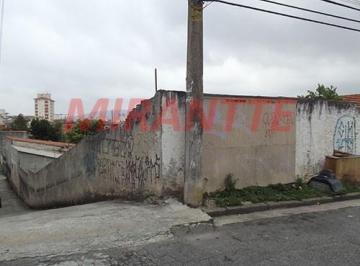 548071fccc2288a32a420e34e7b24fac.jpg · Terreno de 300m²