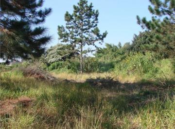4e3686f99d57c09f6207da3754df9cb352505154 · Terreno à venda, 2700 m² por R$ 950.000,00 - Granja Viana - Carapicuíba/SP