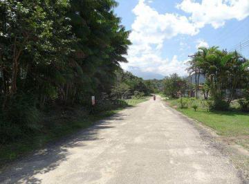 51700-DSC06873.jpg · Terreno, Praia da Lagoinha, Ubatuba - R$ 500 mil, Cod: 535