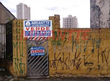 60462f1d5fb92cf1d6e9e9ad6ea7d4b1.jpg · Terreno