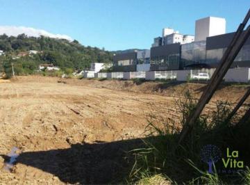 c4ef460c00d74c3c851e10addaea7756207cb7c0 · Terreno à venda, 10772 m² por R$ 17.500.000 - Centro - Blumenau/SC | LA VITA IMÓVEIS