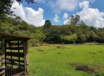 Rural , Tijucas do Sul · Sitio 7,5  Alq.em Tijucas do Sul a 35,Km de Curitiba 