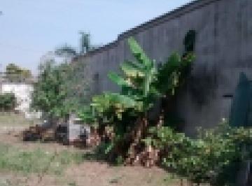 811cb9cc0a4f3f93bef604bbc2e4f8bc99aea478 · Terreno à venda, 497 m² por R$ 1.375.000,00 - Alta da Lapa - São Paulo/SP