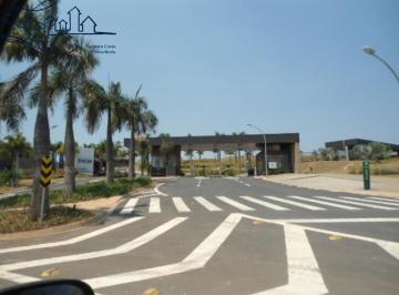 Foto 01 · venda lotes no entreverdes campinas