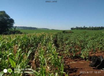 Foto 01 · Sítio Exclusivo à Venda em Bela Vista, Marechal Cândido Rondon – 3 Quartos, Frente