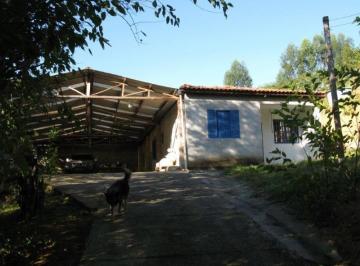 2018/06/72789971.jpg · VENDO FAZENDA 90 HECTARES EM NATIVIDADE DA SERRA (4160 )