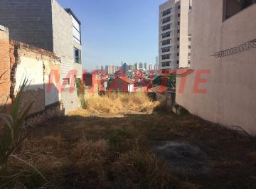6f022d141845f5f531d002aa2d381f92.jpg · Terreno