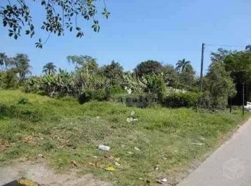 ad0a2eecba4e62692e62a256a77639a00e2baaaf · Terreno à venda, 5000 m² por R$ 2.000.000,00 - Jardim Ana Rosa (Palmeiras) - Suzano/SP