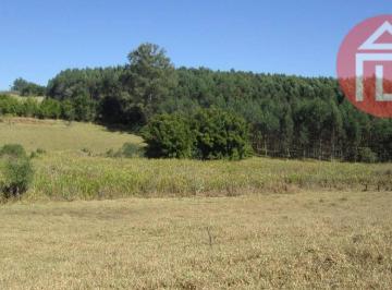 99e797aa4c36692fd54d44e33a9d8a0de1390c3b · Fazenda com 3 dormitórios à venda, 900000 m² por R$ 13.500.000,00 - Curitibanos - Bragança Paulista/