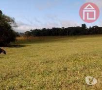 3e8ce95686902715af9ae67caf896d4779436905 · Terreno à venda, 24000 m² por R$ 6.800.000,00 - Curitibanos - Bragança Paulista/SP