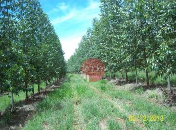 aa6a49ad41964ef589fc639d95f2d6f545be8481 · Fazenda com 1 dormitório à venda, 8820000 m² por R$ 22.000.000,00 - Centro - Buritizeiro/MG