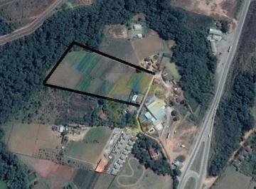 a04972ea6e7f0855ea22ed3011a6d01bf365d938 · Área à venda, 28600 m² por R$ 1.200.000,00 - Maracanã - Jarinu/SP