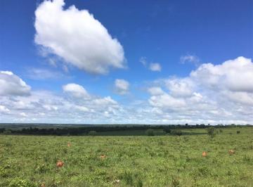Rural , Santa Fé de Minas · Fazenda 1.300 hec, Santa Fé de Minas/MG, pecuária, plana, vlr. abaixo de mercado
