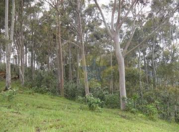 9e61e3939d5e34d39ab91da9ae78d2c23ab01c96 · Terreno à venda, 20000 m² por R$ 350.000,00 - Chácaras Maringá - Atibaia/SP