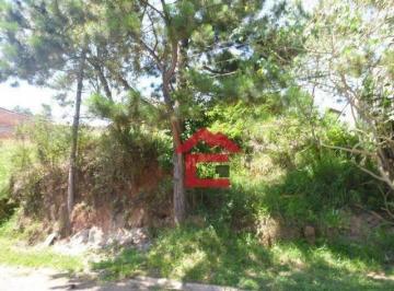 dea208ffe4b2bd46dc14237ef6bb547d4c9b4998 · Terreno à venda, 600 m² por R$ 233.200,00 - Colinas de São Fernando - Cotia/SP