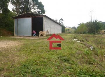 c337d8ce8184d655bc4aad94384d784de174d62e · Galpão à venda, 200 m² por R$ 2.000.000,00 - Altos de Caucaia (Caucaia do Alto) - Cotia/SP
