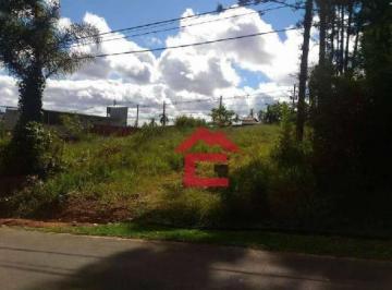 d3fee28a247b7c8c68d21cb2543b4abea38c64f6 · Terreno à venda, 1015 m² por R$ 390.000,00 - Chácara Represinha - Cotia/SP