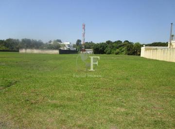 1c2c53a53a954d2db1fd4239c86f561ce03d0e36 · Terreno à venda, 1000 m² - Acapulco - Guarujá/SP