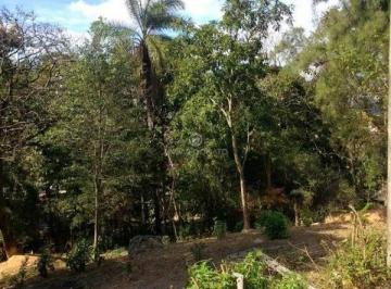 Terreno · 6293m² · Centro - Lote / Terreno à venda na Anuar Donato