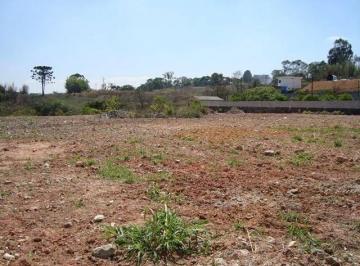 75bdcb0d9394d98f4307ecf2c8a86e8235b8f1c0 · Área à venda, 11400 m² por R$ 7.700.000,00 - Jardim Belizário - Cotia/SP