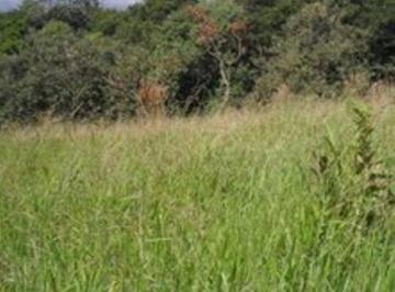 045264f0214fc22149fb96af17c24d581d8f2efe · Terreno à venda, 5000 m² por R$ 2.300.000,00 - Parque Rincão - Cotia/SP