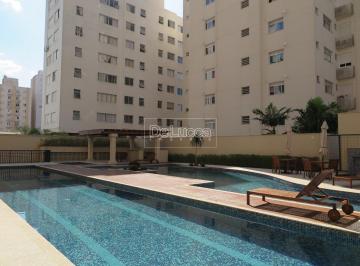 0 · apartamento para aluguel em Cambuí