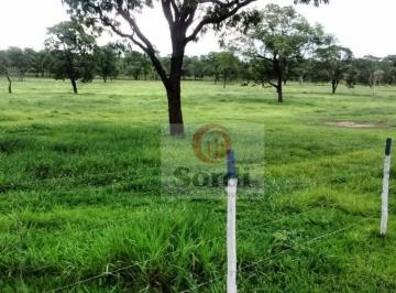 db96efffee852689e8fcd13a8d095572c9f0f5cd · Sítio à venda, 556600 m² por R$ 4.000.000,00 - Centro - São Simão/SP