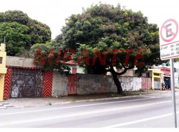 d2675a4d433d7c21761c47a115c23f2b.jpg · Terreno de 200m²