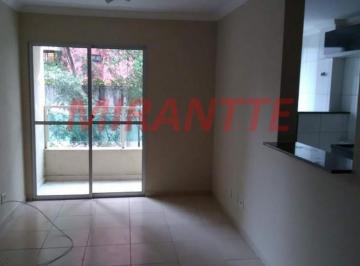 7181e3568f6dabd787d42bcb36b67e9a.jpg · Apartamento de 60m² com 2 quartos