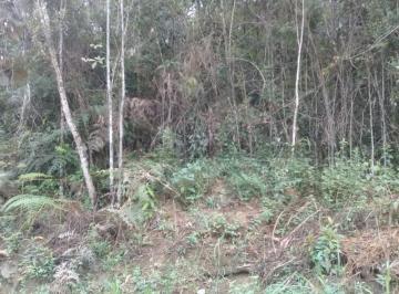 Foto 01 · Terreno à venda em Juquitiba.