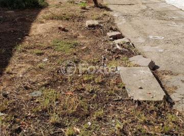 20190205_173020.jpg · Terreno, 246.76 m², em Vila Jardim
