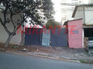 6dede83372d614b3c09a54106122365b.jpg · Terreno