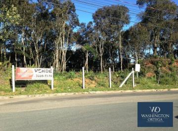 9ff1b6e333f70ecd0616ce4e298dc053263d96b5 · Área à venda, 9500 m² por R$ 2.185.000,00 - Barro Preto - São José dos Pinhais/PR
