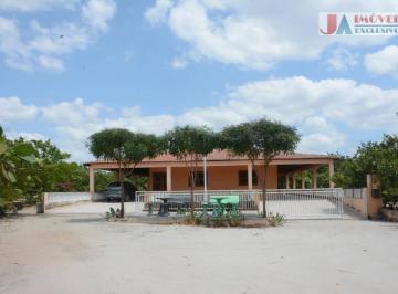 910894dc61f4f82a1ebd28a79d7bb36099c141b6 · Chácara à venda, 10000 m² por R$ 800.000,00 - Zona Rural - Itapipoca/CE