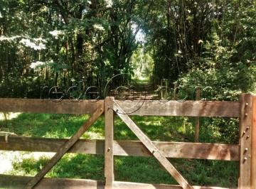 Foto 01 · Chácara com 30.000m2, casa rústica, 2 córregos, 5 km da cidade, cercada - Pirenópolis - GO