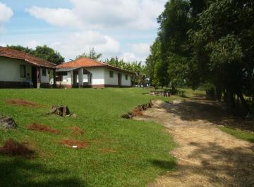 84032986.jpg · Sítio - Chácara Santo Antônio (Zona Sul)
