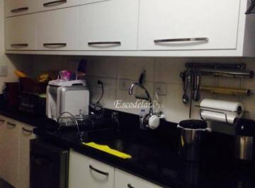 eff19de3c688b4ce5f2df799a2efea506bccff67 · Apartamento com 3 dormitórios à venda, 90 m² por R$ 725.000,00 - Vila Ester - São Paulo/SP