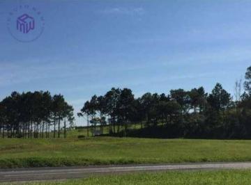 f8ffdd95aaed00722e6efd702e852dac4d9e1ca6 · Área, 10900 m² - venda por R$ 3.900.000,00 ou aluguel por R$ 10.000,00/mês - Castelo Branco - Soroca