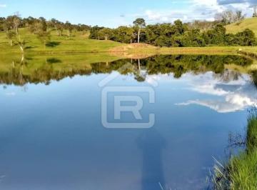 Foto 01 · Fazenda, Fazenda Ideal Para Criação de Animais E Plantio, Vargem Grande Paulista, SP
