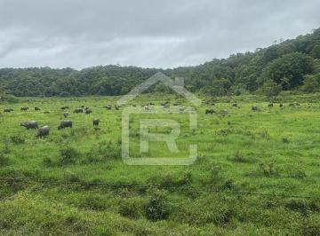 Foto 01 · Fazenda, Fazenda Com Excelente Topografia,  Ideal Para Criação de Ani, Juquiá, SP