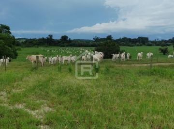 Foto 01 · Fazenda com área total de 389 alqueires