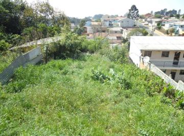 1166008390.jpg · Terreno no Santa Cândida