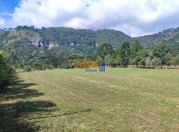kvdh3x82odk3odrhmdrmn2fh_md · Área , Sitio, Terreno rural em Urubici santa Catarina, 10 hectares, araucárias