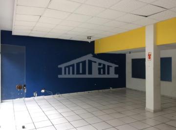 77608210.jpg · Loja