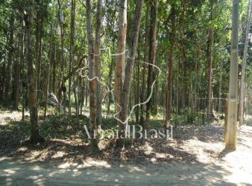 Terreno , Porto Seguro · TERRENO A 500 METROS DA PRAIA DE PITINGA EM ARRAIAL D AJUDA.
