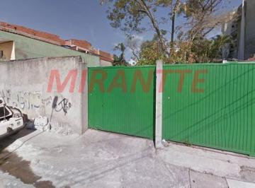 133c3142fe76e7e3155f86aefe531f2a.jpg · Terreno