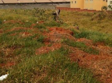 1445e8a60248dfe5b995f294dacc86d41553fb31 · Terreno, 5000 m² - venda por R$ 10.000.000,00 ou aluguel por R$ 30.000,02/mês - Jardim Novo Horizont